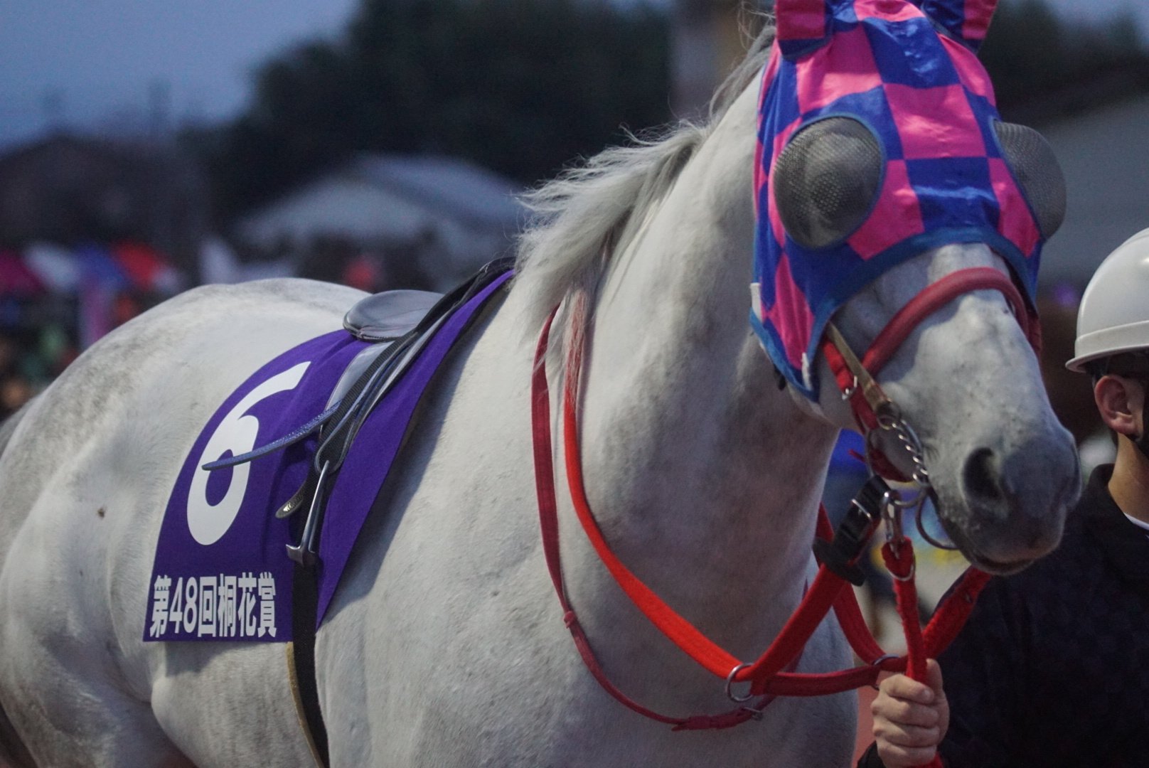 トウケイニセイラストラン　第21回桐花賞　単勝馬券　岩手競馬 観覧券セット トウケイニセイラストラン 第21回桐花賞 単勝馬券 岩手競馬 観覧