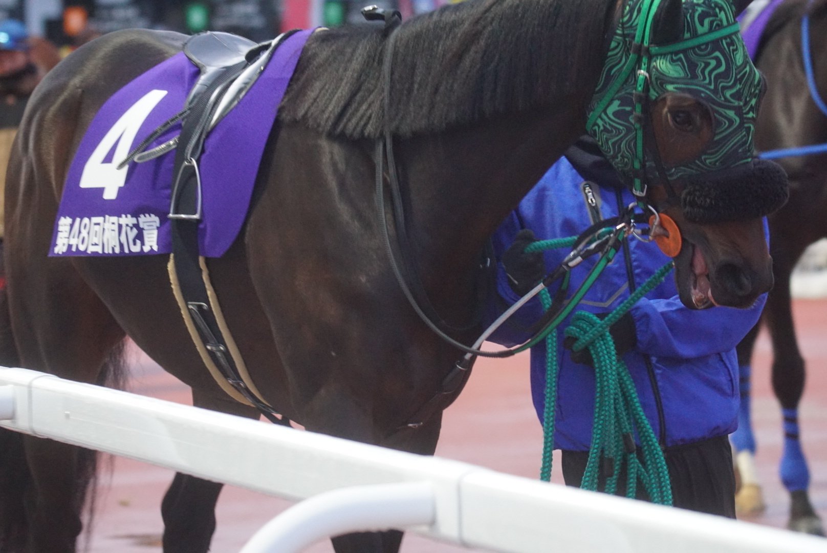 トウケイニセイラストラン　第21回桐花賞　単勝馬券　岩手競馬 観覧券セット トウケイニセイラストラン 第21回桐花賞 単勝馬券 岩手競馬 観覧