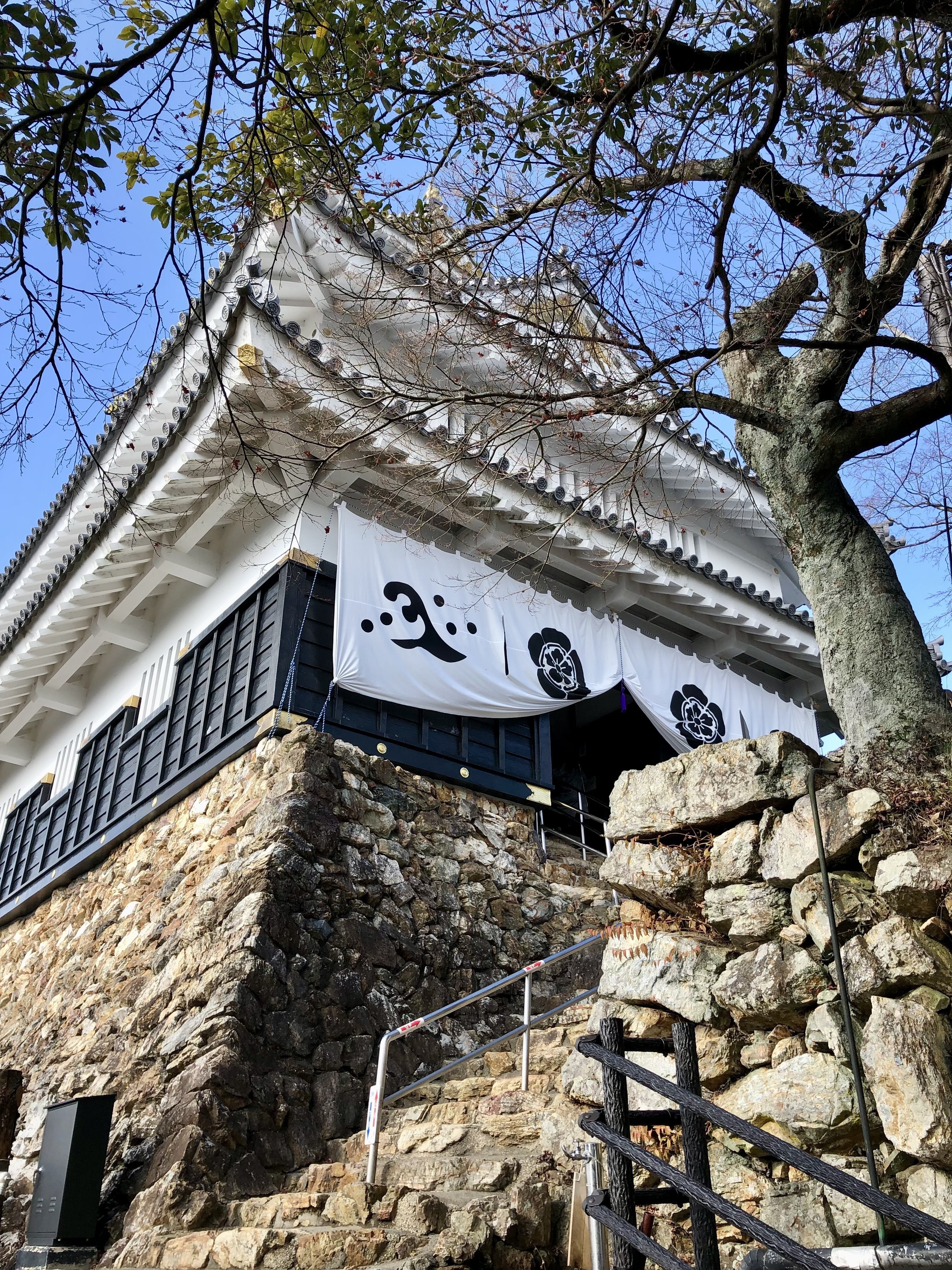 巳年の元旦、美濃のマムシの岐阜城へ|ぐこ 巳年の元旦、美濃のマムシの岐阜城へ|ぐこ