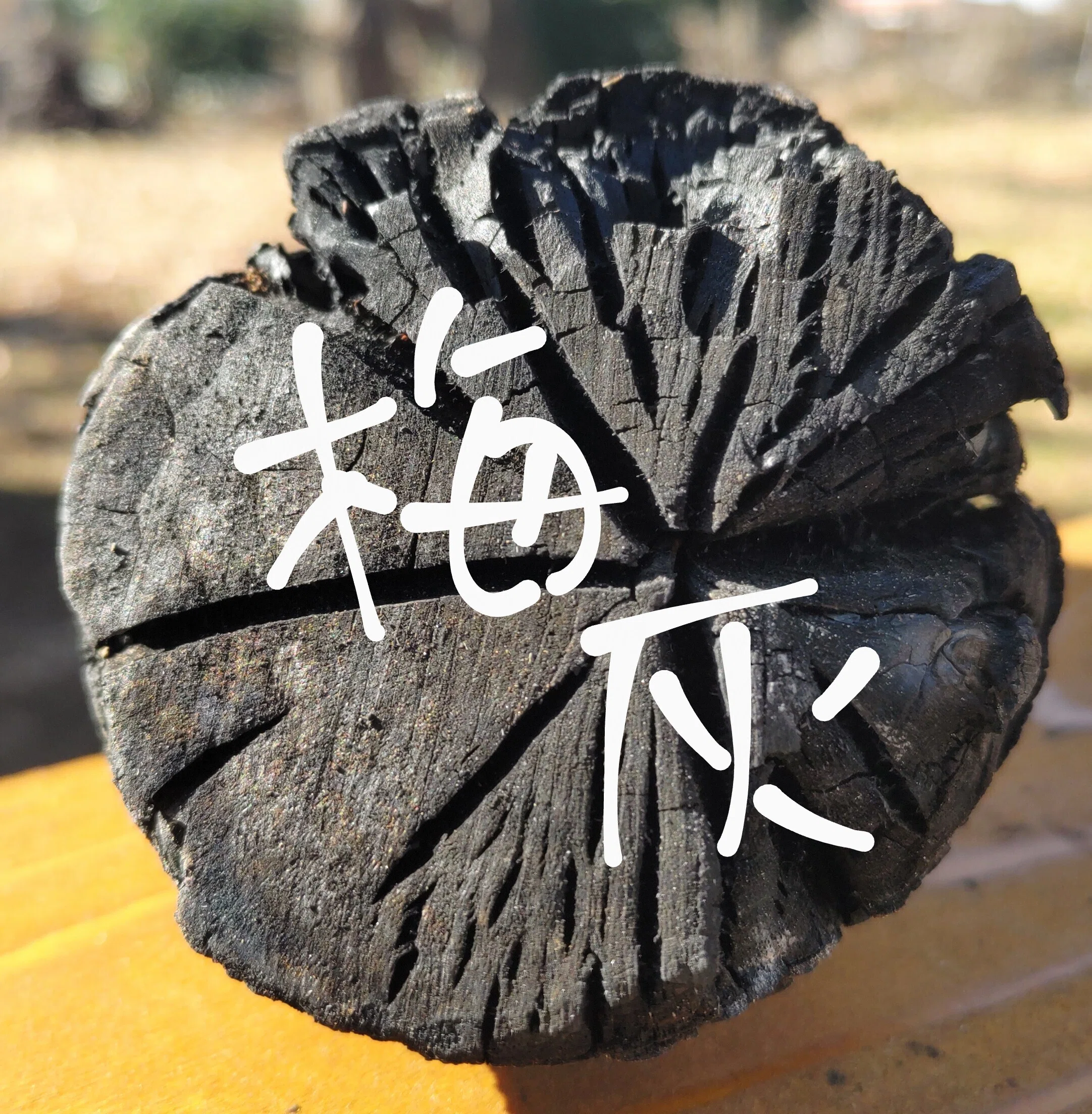 はじめまして🙂↕️梅炭自然の〜えんです|梅炭の〜えん