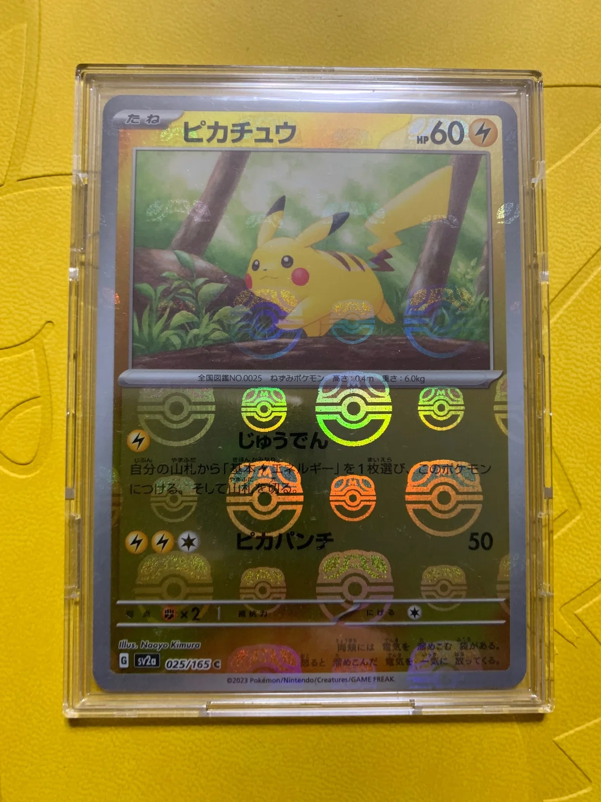2024年版】マンソンのポケモンカードコレクション(ランキング)｜マンソン