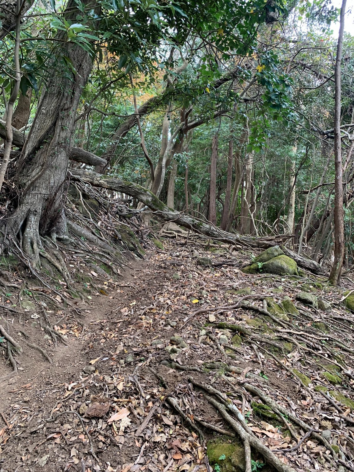 素人露出　四国 古道を歩く】富津市 海良〜竹岡集落｜キャプテン村社