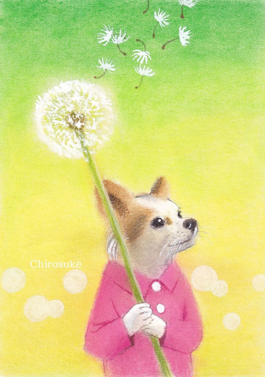 パステル画 綿毛｜ちろ