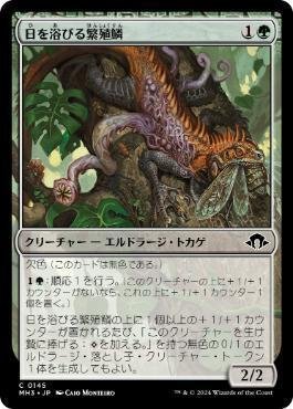 デッキ販売　パウパー　繁殖鱗コンボ　入賞デッキ！ MTG:Pauper】最速3キル!? #サディストコンボ デッキ紹介！｜角とうふ