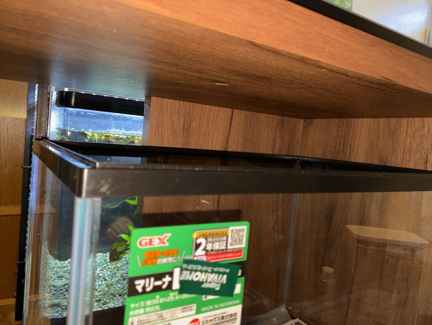 GEX アクアラックシェルフ900S 水槽台の組み立て｜ハコ点のランマ