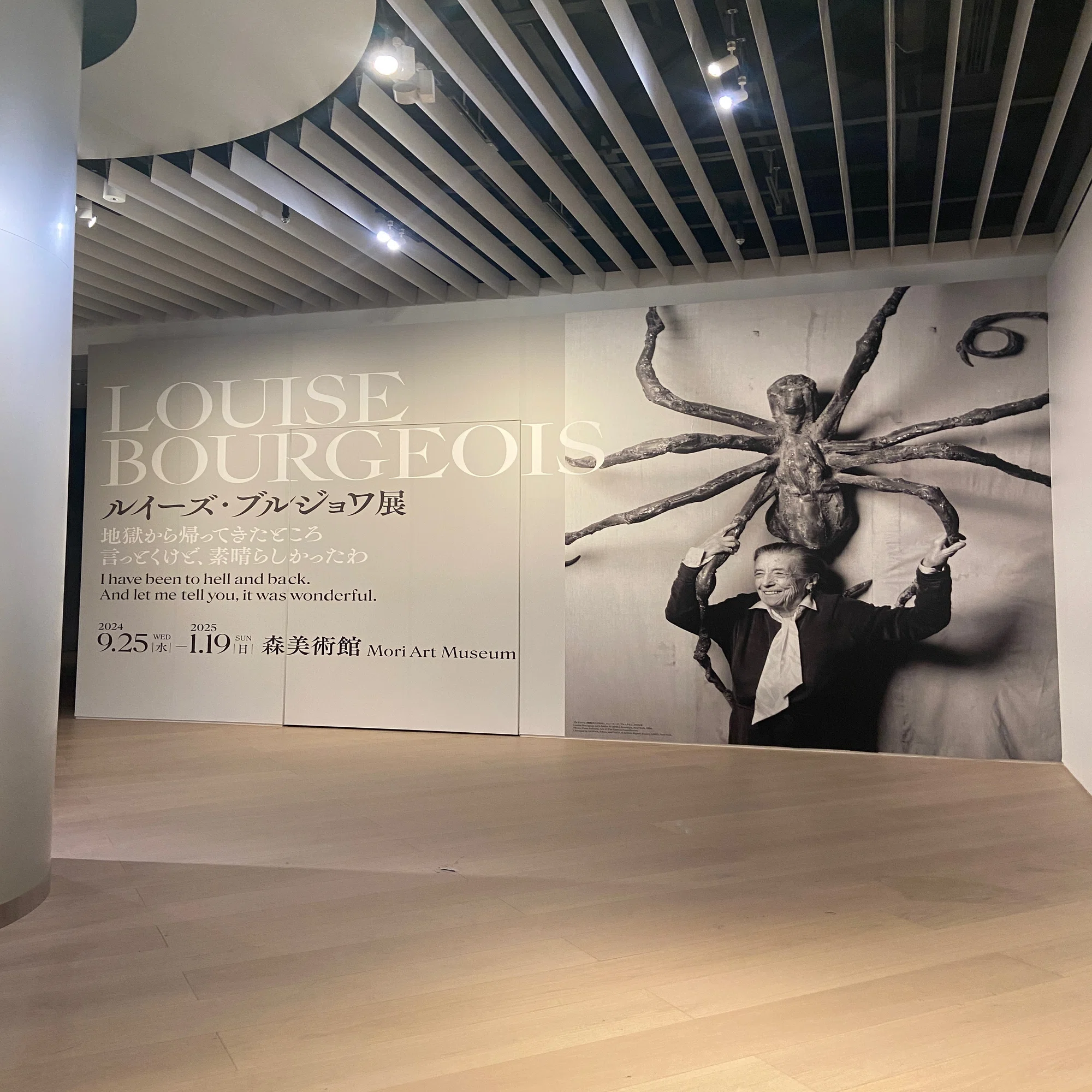 ルイーズ・ブルジョワ展 地獄から帰ってきたところ 言っとくけど 