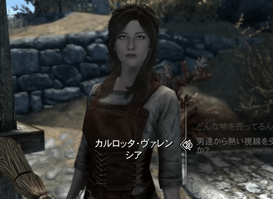 スカイリム　ホワイトラン　レプリカセット モデル・テクスチャ ホワイトラン おすすめMOD順 - Skyrim