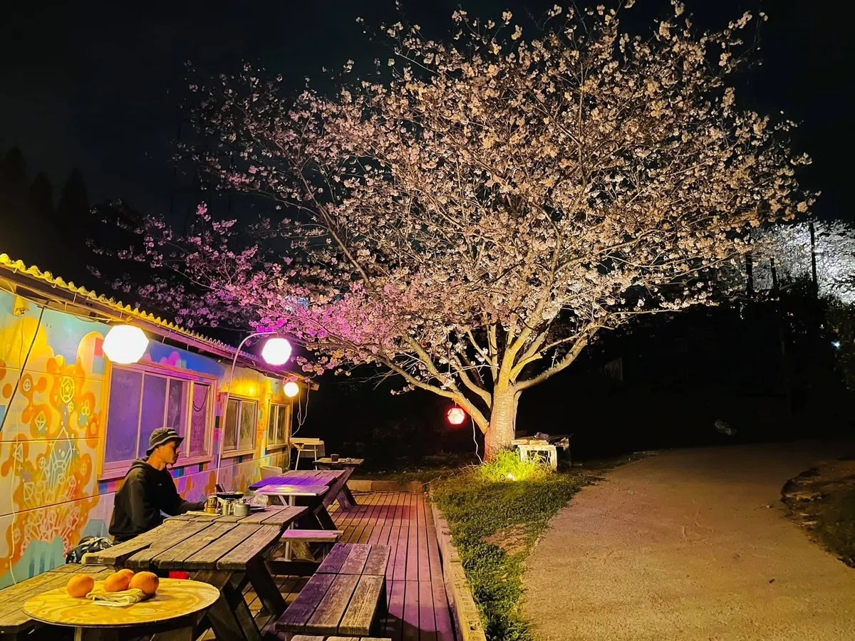 満員御礼【新コミュニティ「浮遊街」(元SAIHATE)に、桜を見に行きたい人はいませんか？一泊二日（二食付き）のエコビレッジツアー＠熊本 ...