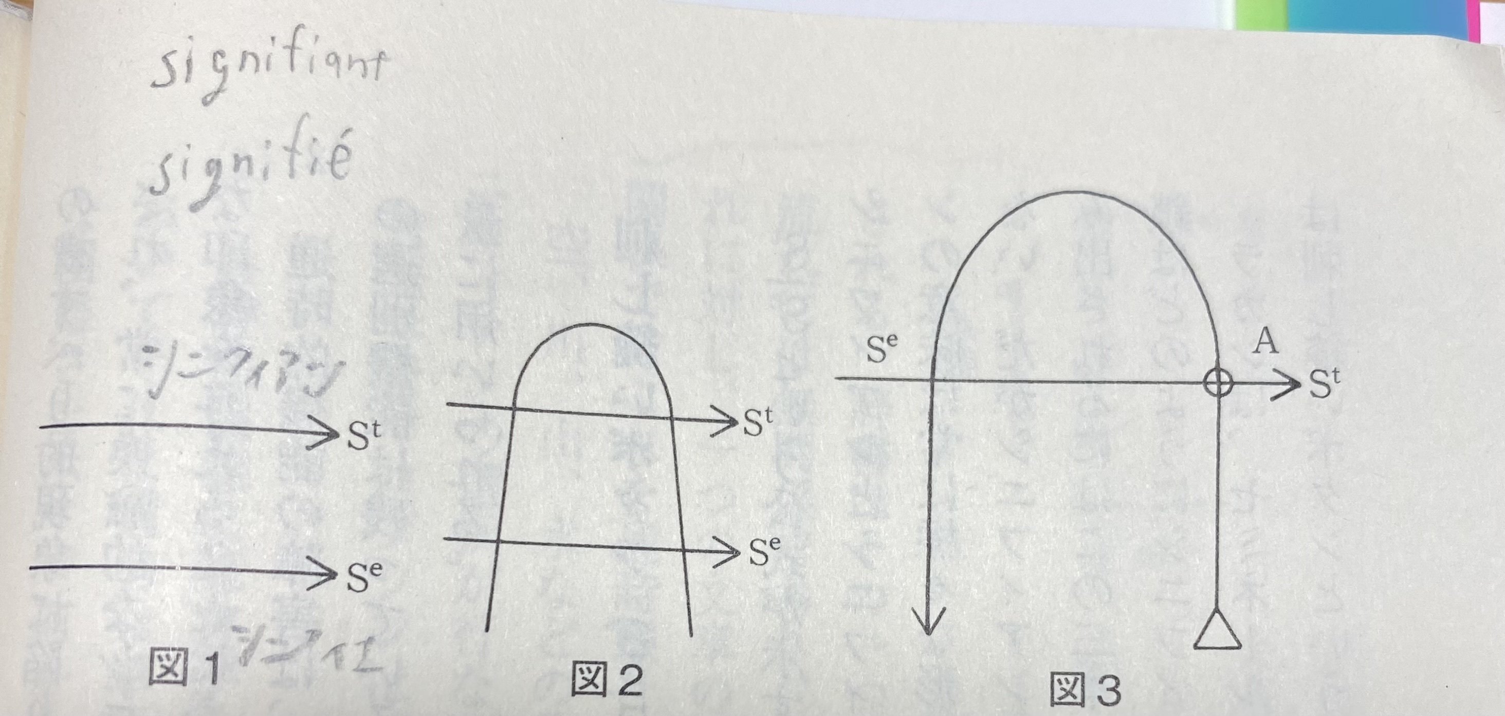 ラカン入門』（向井雅明）の感想｜果ての神殿