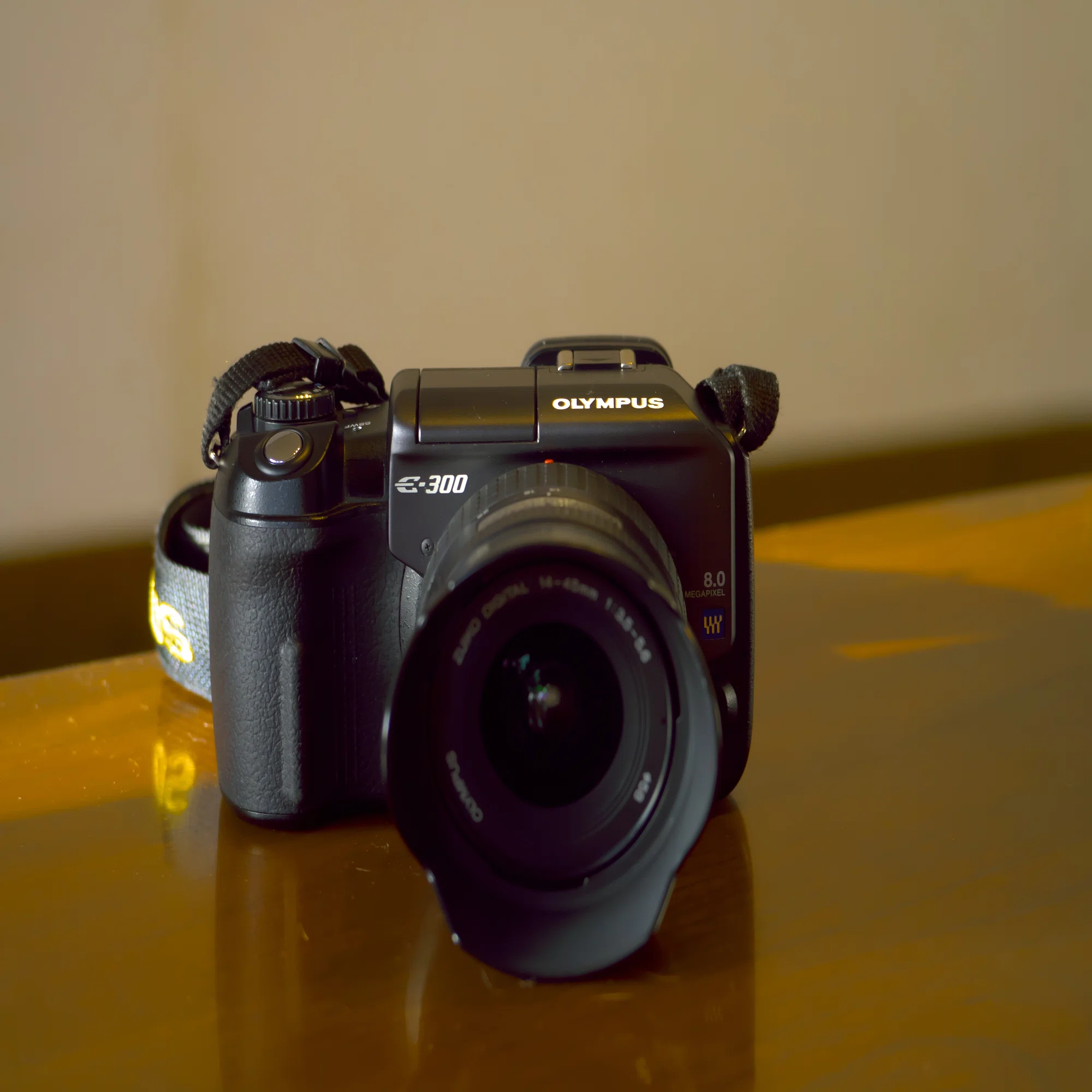 OLYMPUS E-300 〜コダックブルーに魅せられて〜｜らいだぁ～