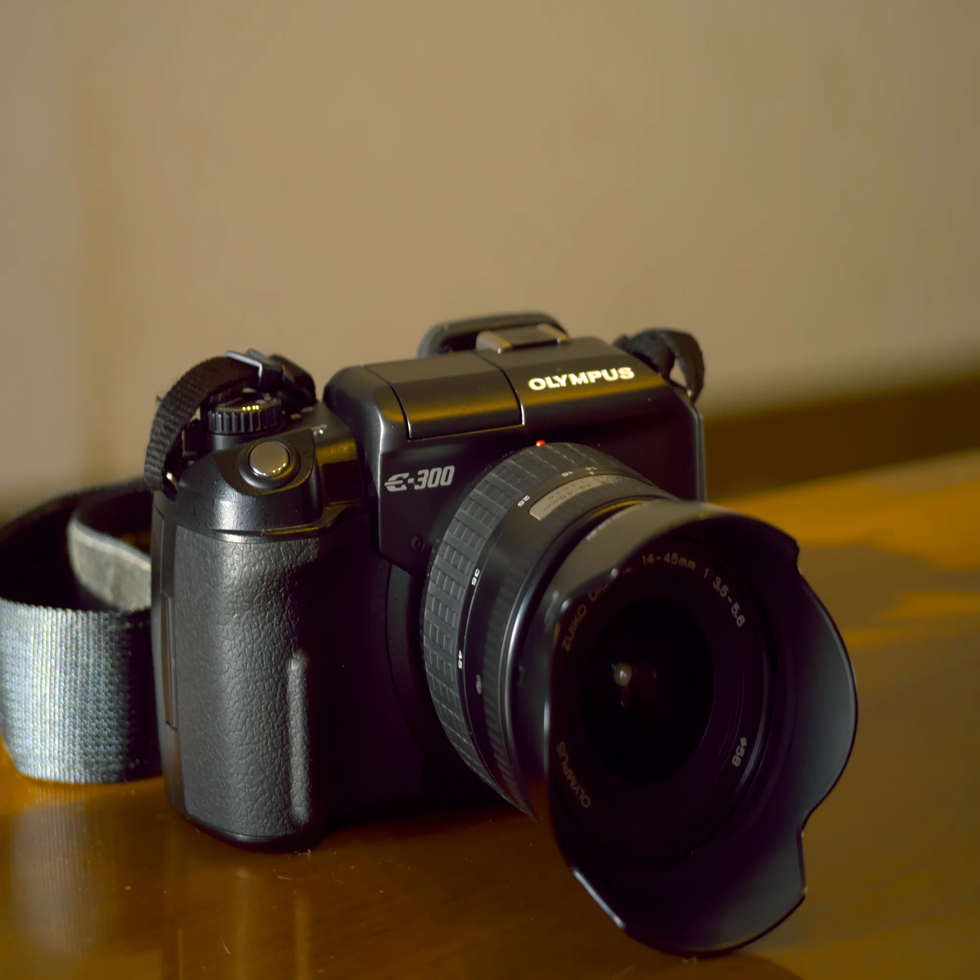 OLYMPUS E-300 〜コダックブルーに魅せられて〜｜らいだぁ～