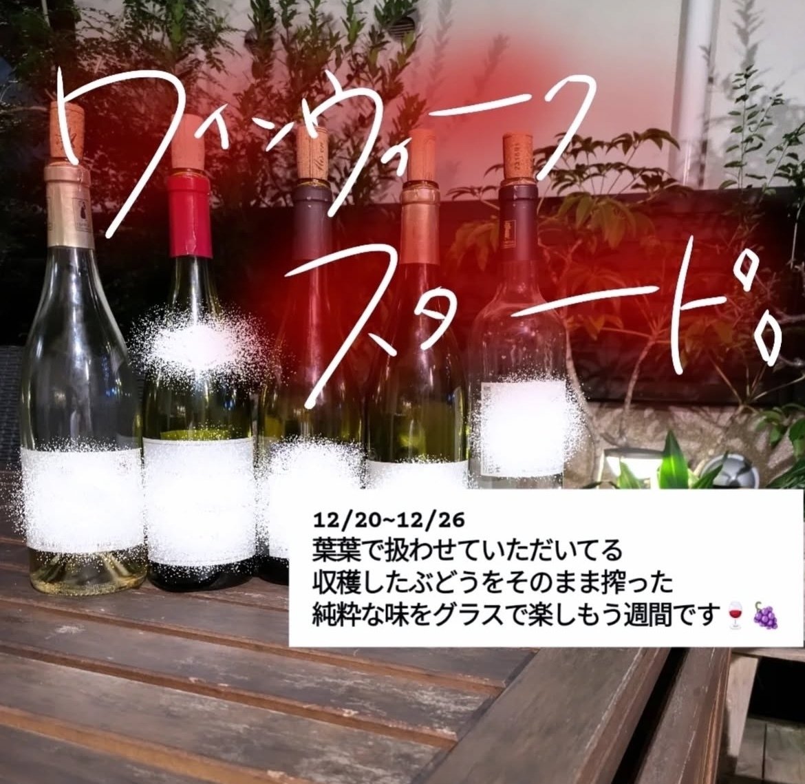 日本酒・焼酎が飲めるお店「葉葉」｜もんも 