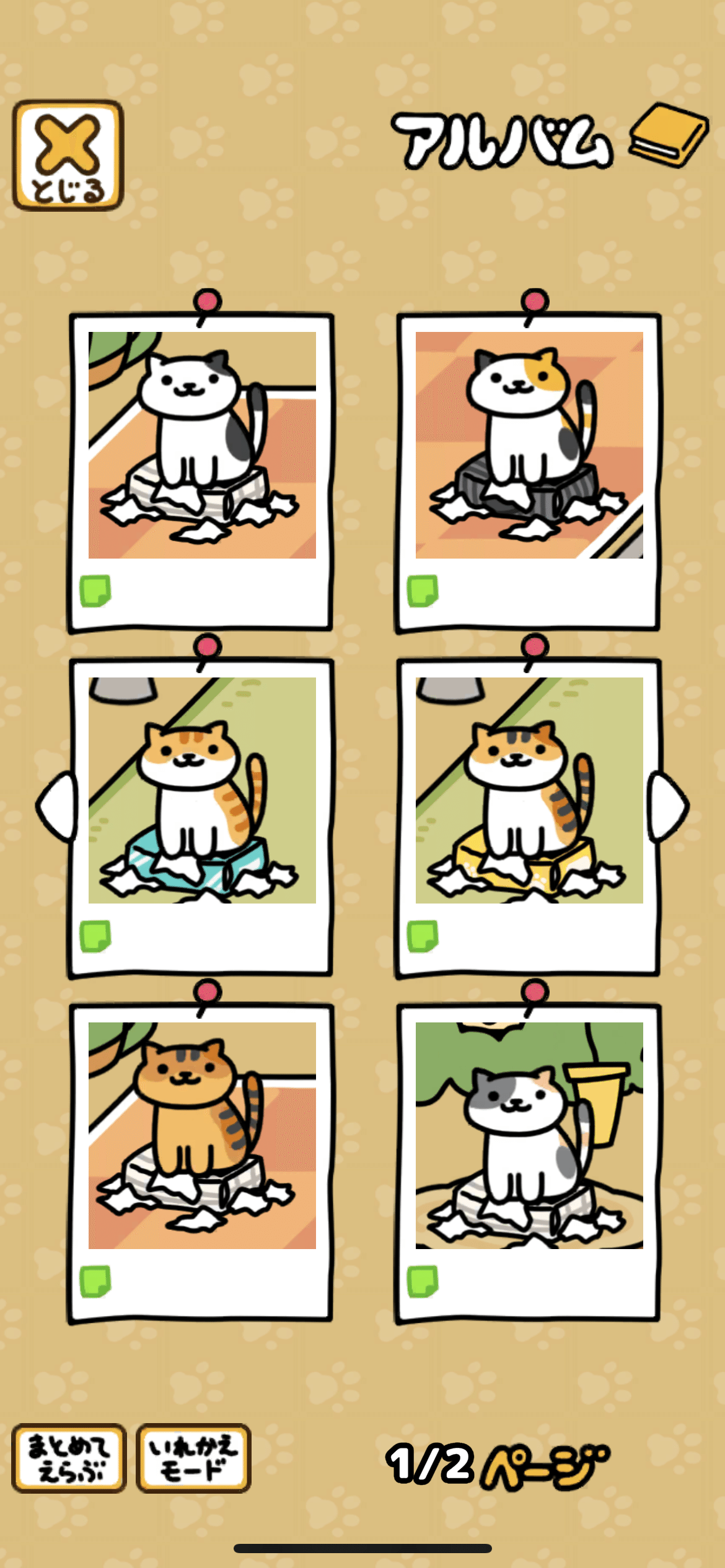 みけねこ様 リクエスト 2点 まとめ商品 hqdefault.jpg