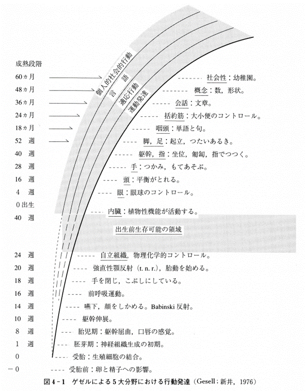 心理学 : こころを科学する 笹野 完二 (著)｜22世紀アート