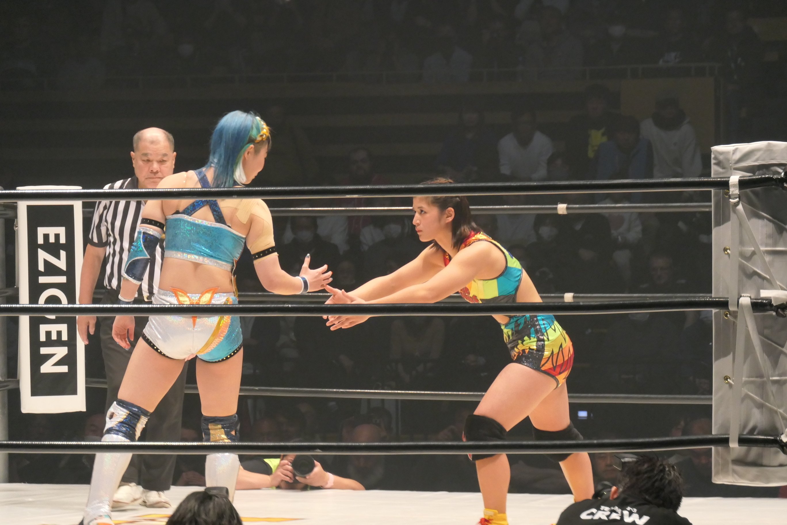 女子プロレス マリーゴールド 25.1.3大田区総合体育館大会 最前席限定タオル 2025.1.3 #マリーゴールド #女子プロレス #Marigold #pw_mg #大田区