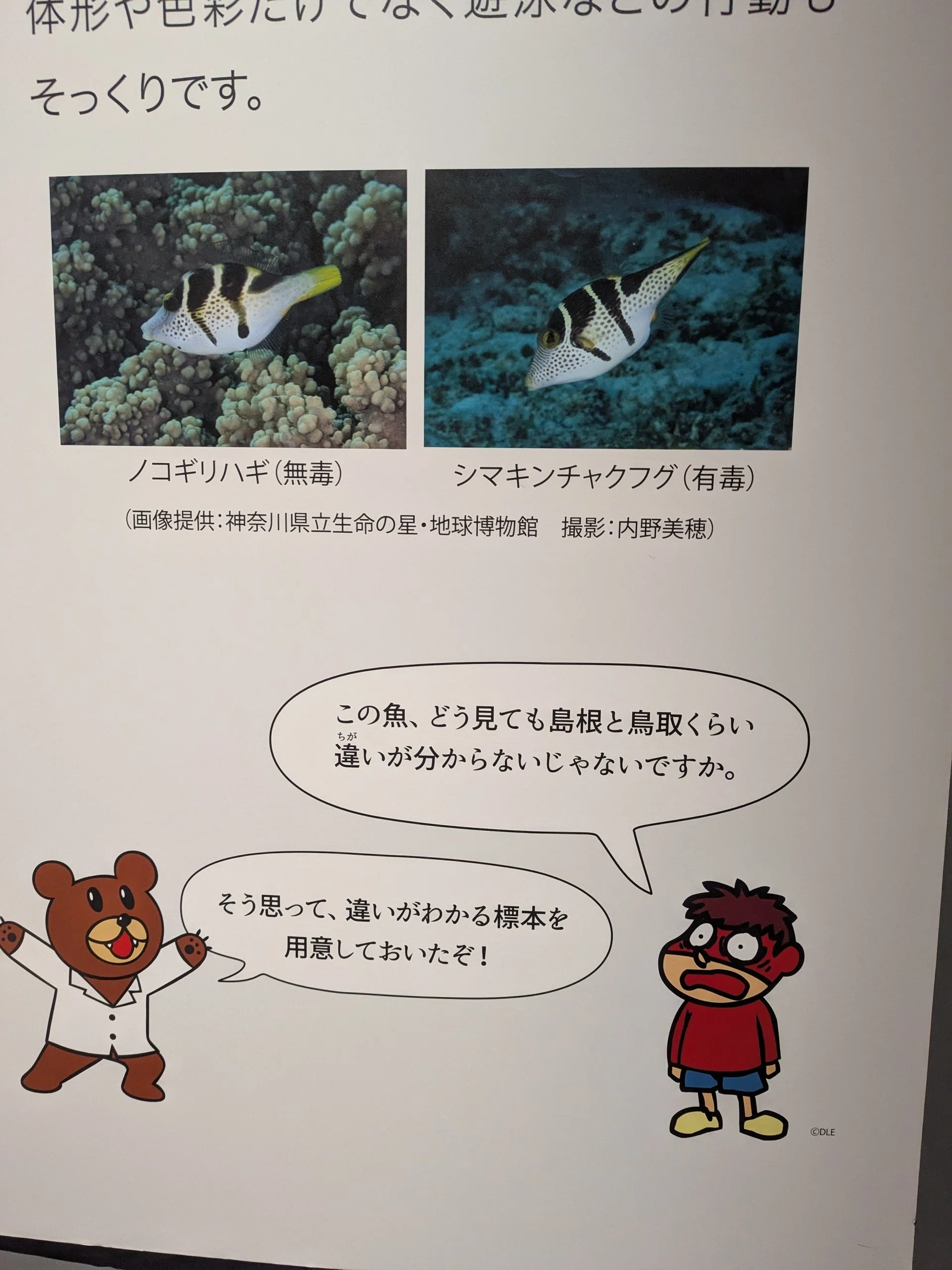 毒展」に行ってみた。｜mimimarie