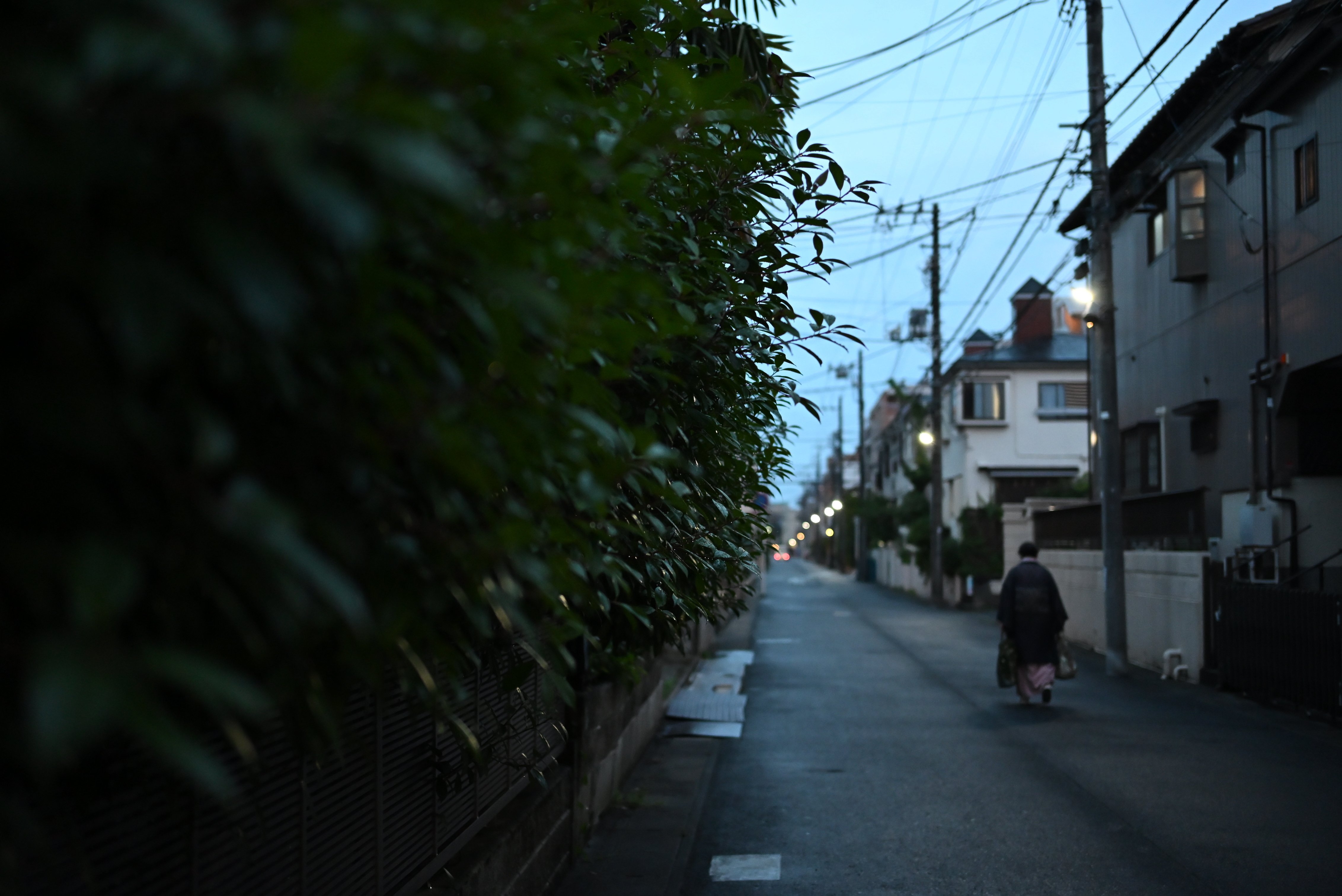 Nikon Zf 、購入10ヶ月後のレポート｜hte_teramoto