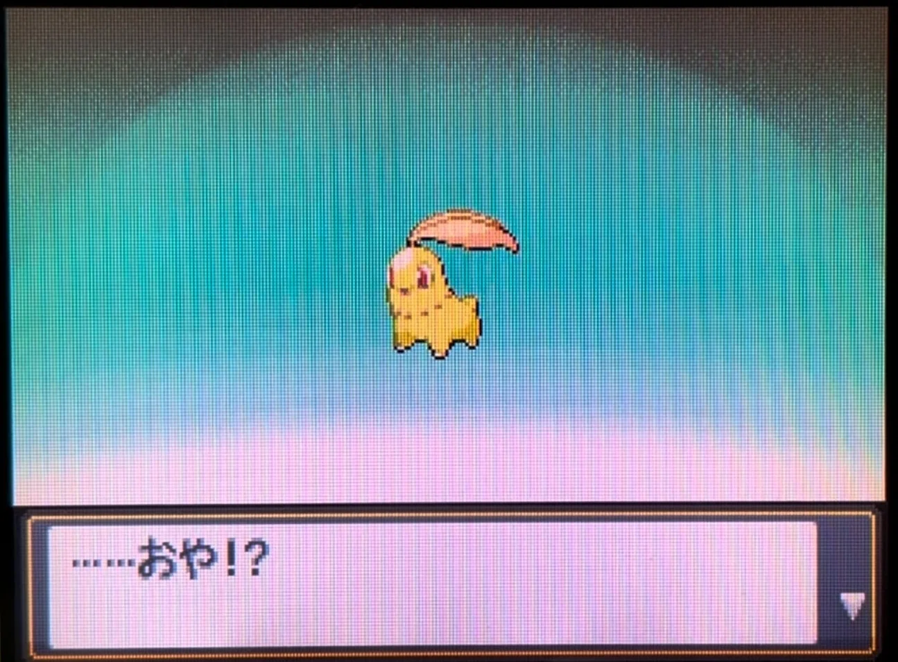 HGSSの色厳選報告④｜くまちゃんのポケモン日記