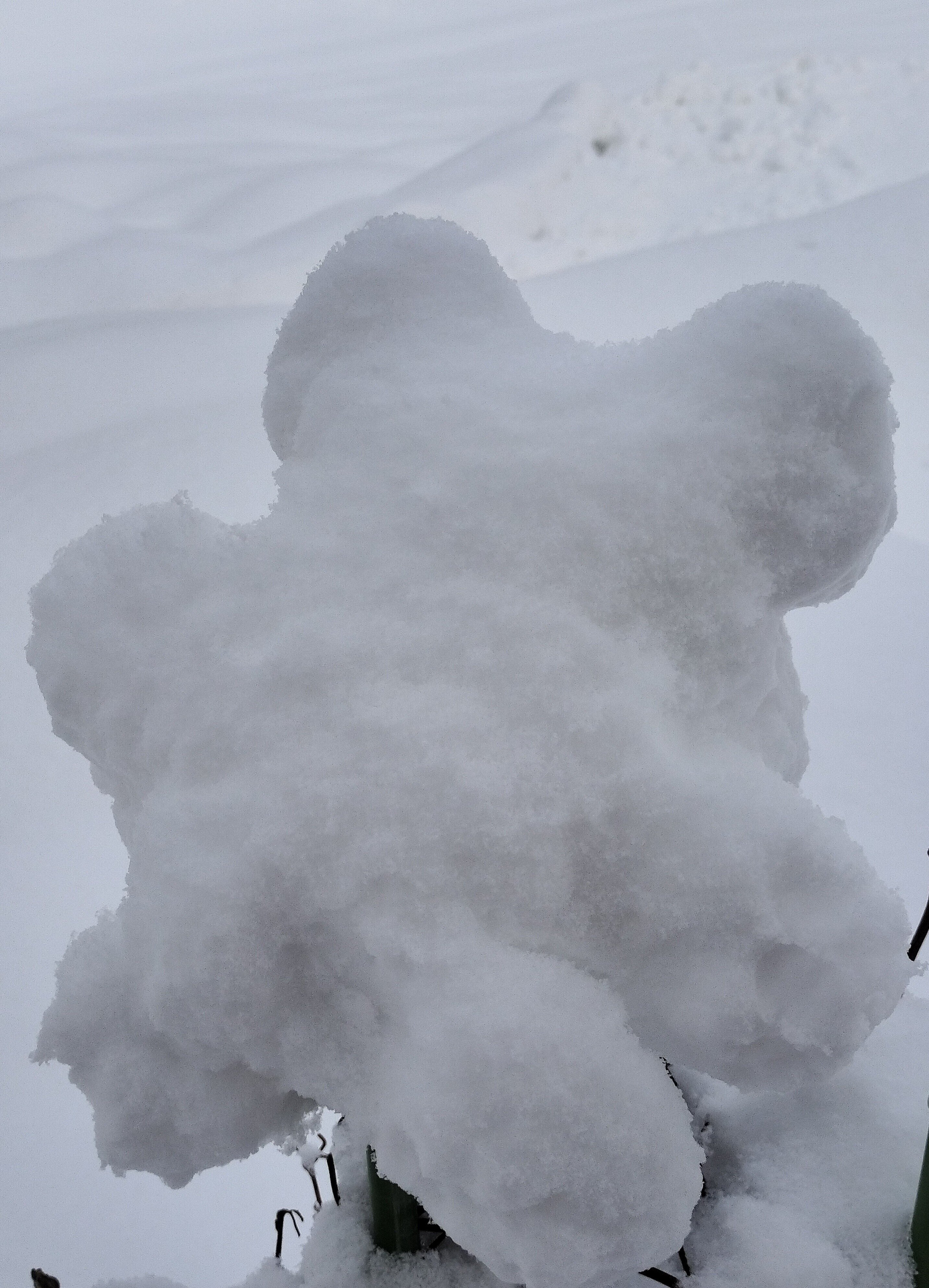 おにんぎょうバンドが雪に埋もれる!?｜ころがるアタマ