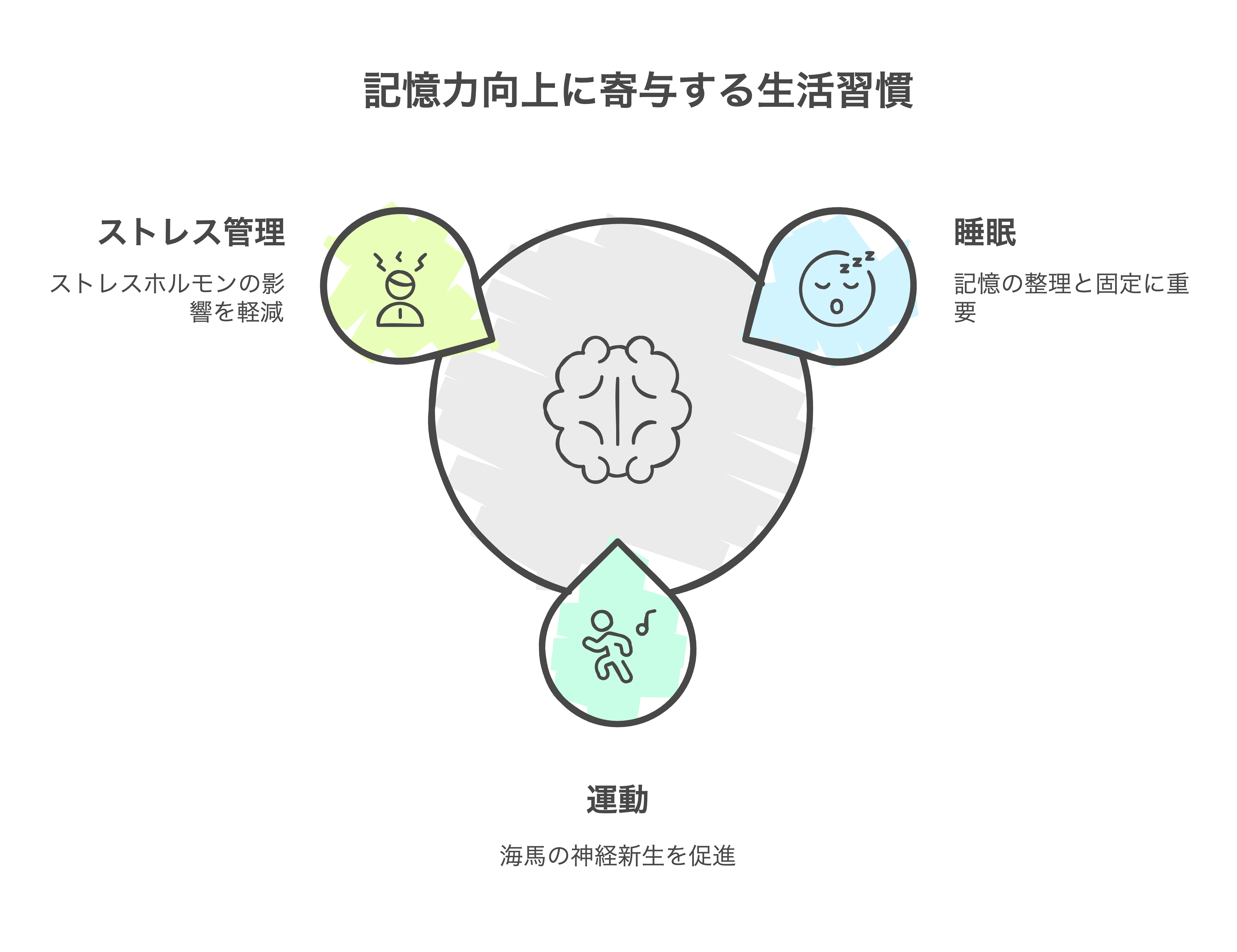 長期記憶力を鍛えるメソッド〜科学が証明する学習戦略〜｜ザツガク