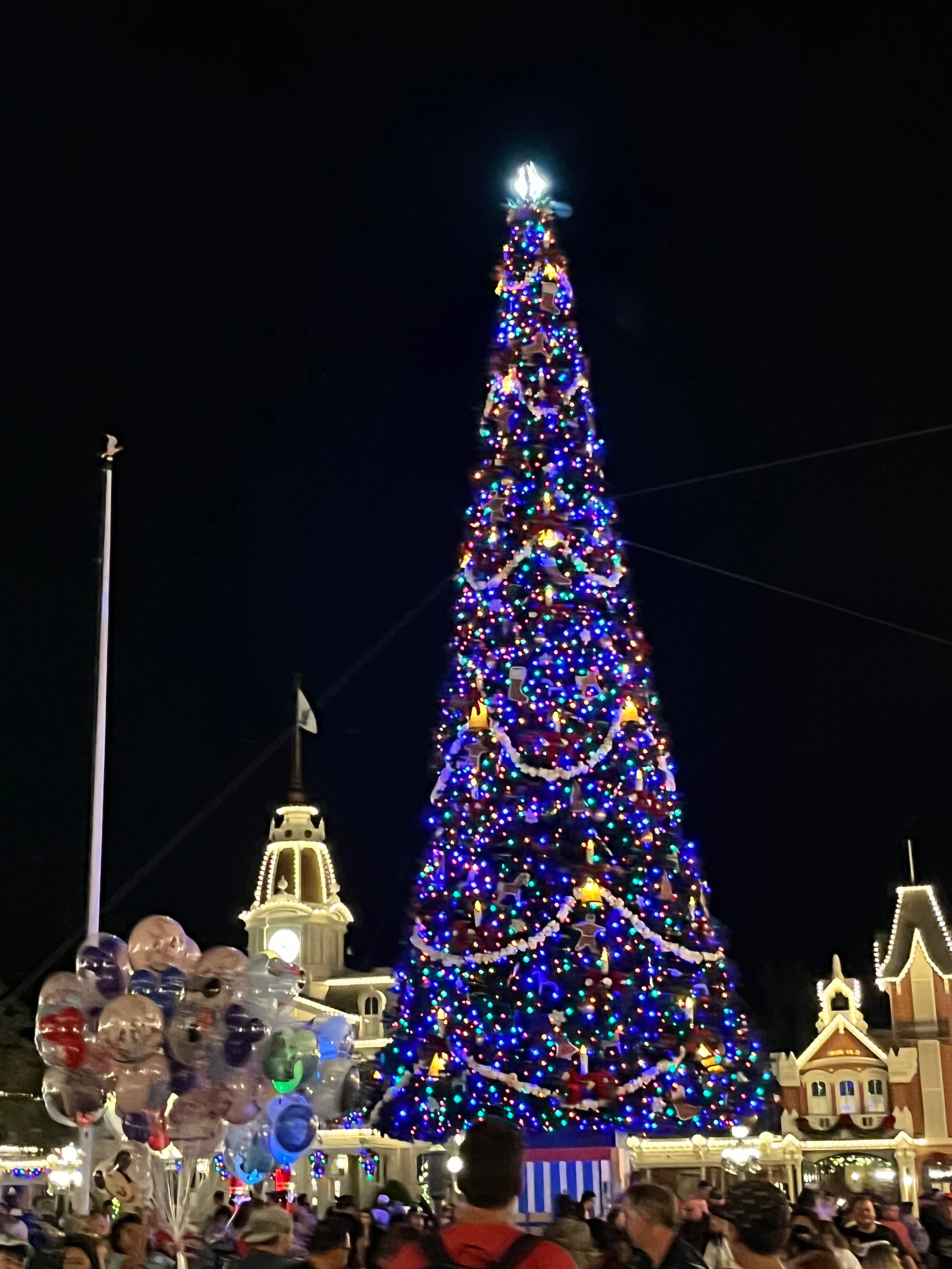 wdw旅行記 マジックキングダム｜雪瀬こう