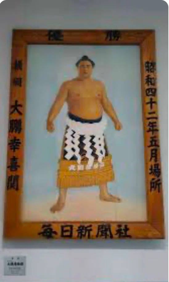 Japanese sumo  横綱　大鵬　はっぴ 歴代の大横綱(大鵬)の魅力｜こうさく