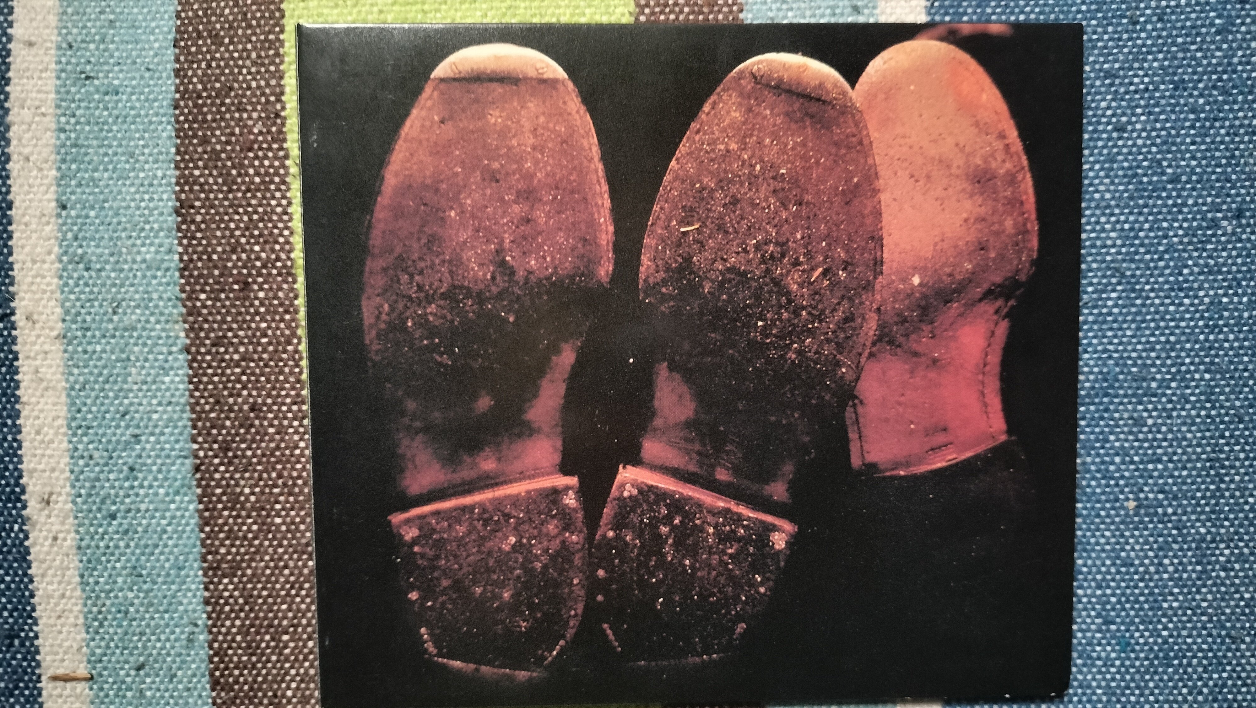 CARNATION★カーネーション★young wise men★megalo3★直枝政太郎★矢部浩志★棚谷祐一★鈴木博文★防波堤のJ★ごきげんいかが工場長