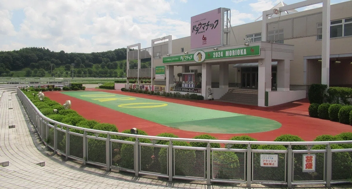 盛岡競馬場パドック