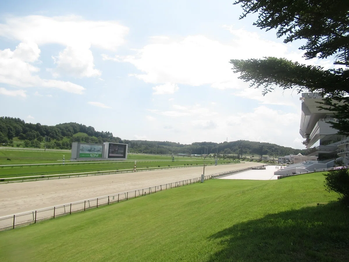 盛岡競馬場本馬場