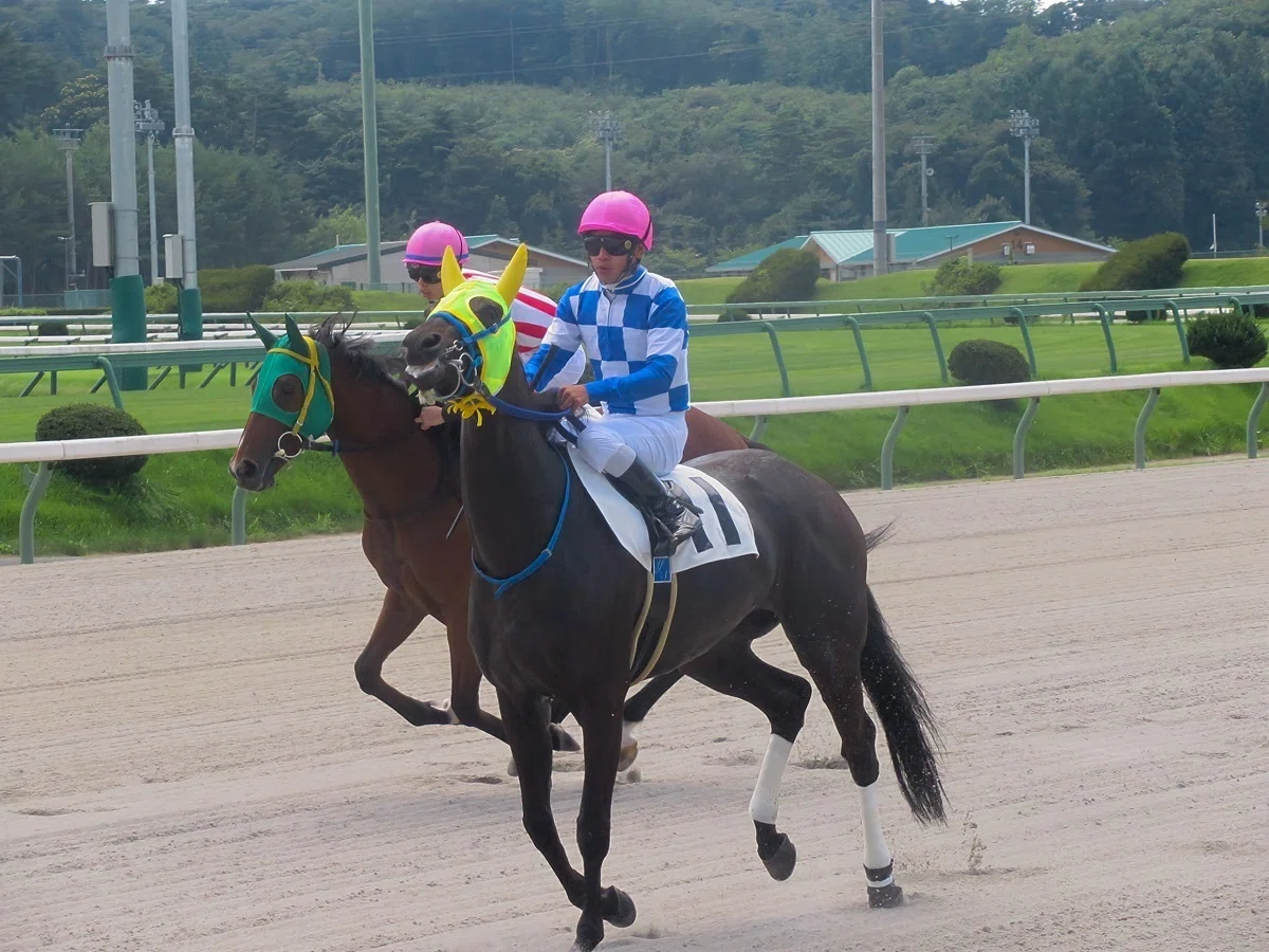 盛岡競馬場本馬場入場