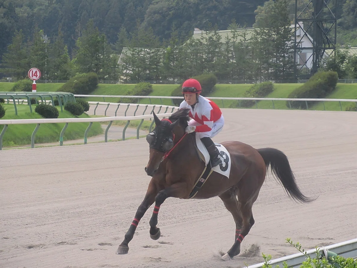 盛岡競馬場本馬場入場すごいスピードで入ってくる馬