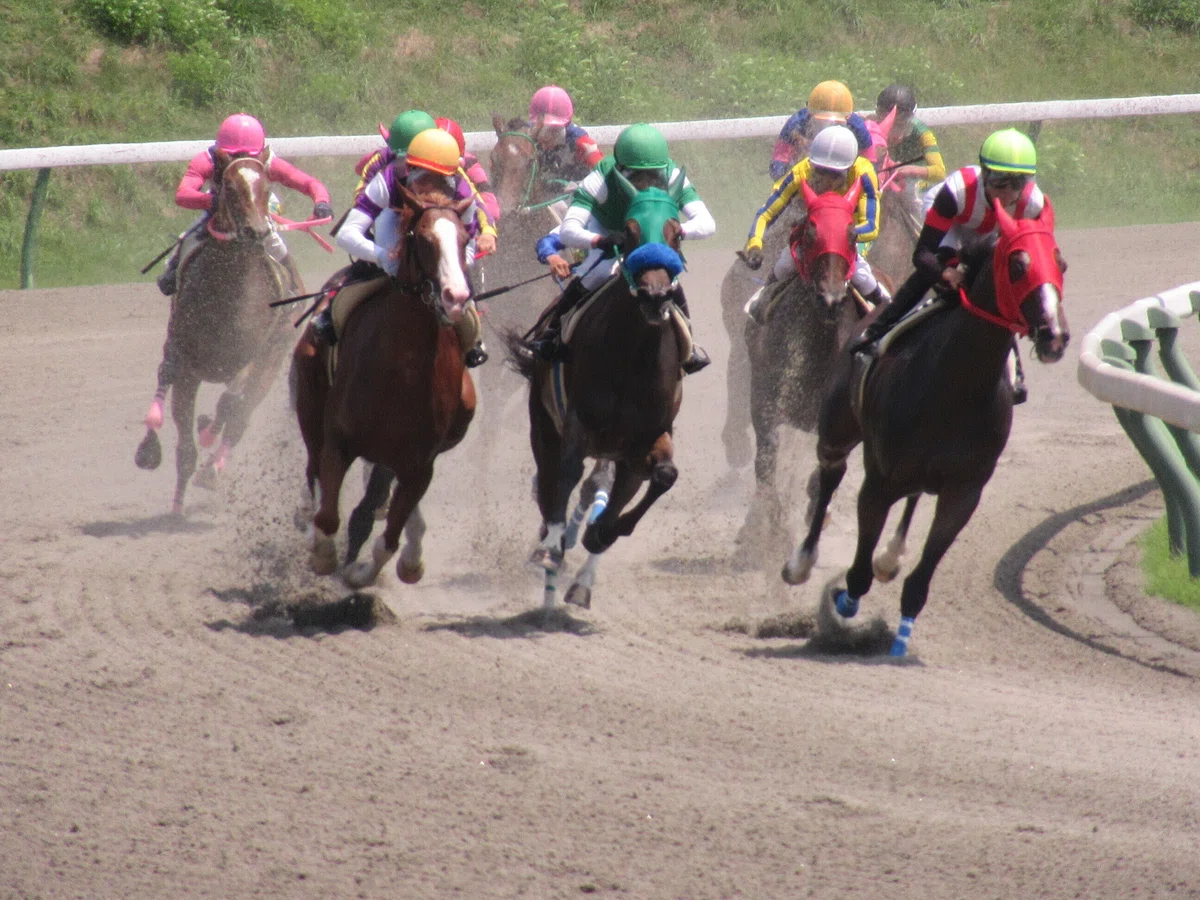 盛岡競馬場レースの様子(第4コーナー)