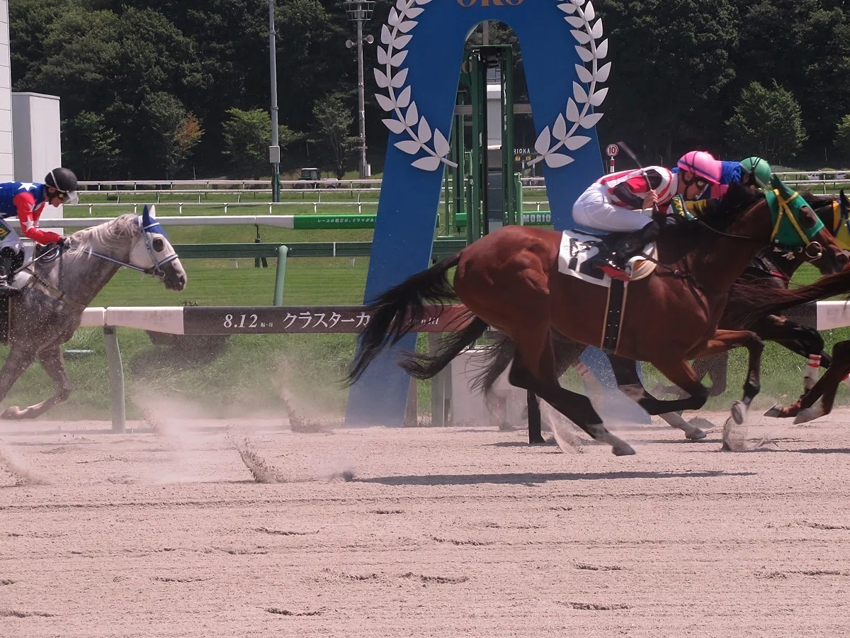 盛岡競馬場レースの様子(ゴール後)