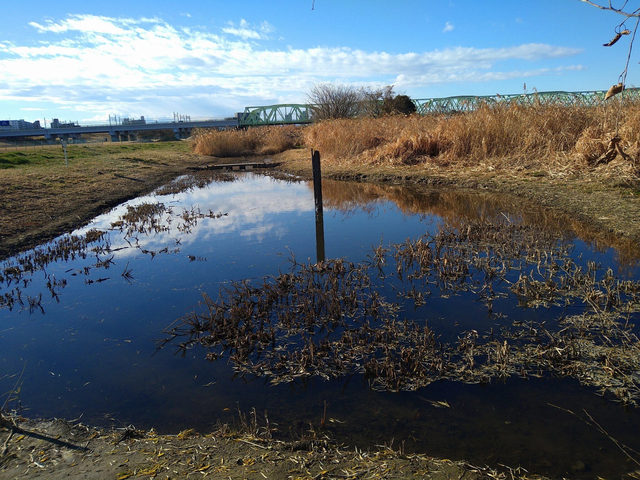 土手を歩こう③（荒川土手 新荒川大橋〜鹿浜橋）｜梨