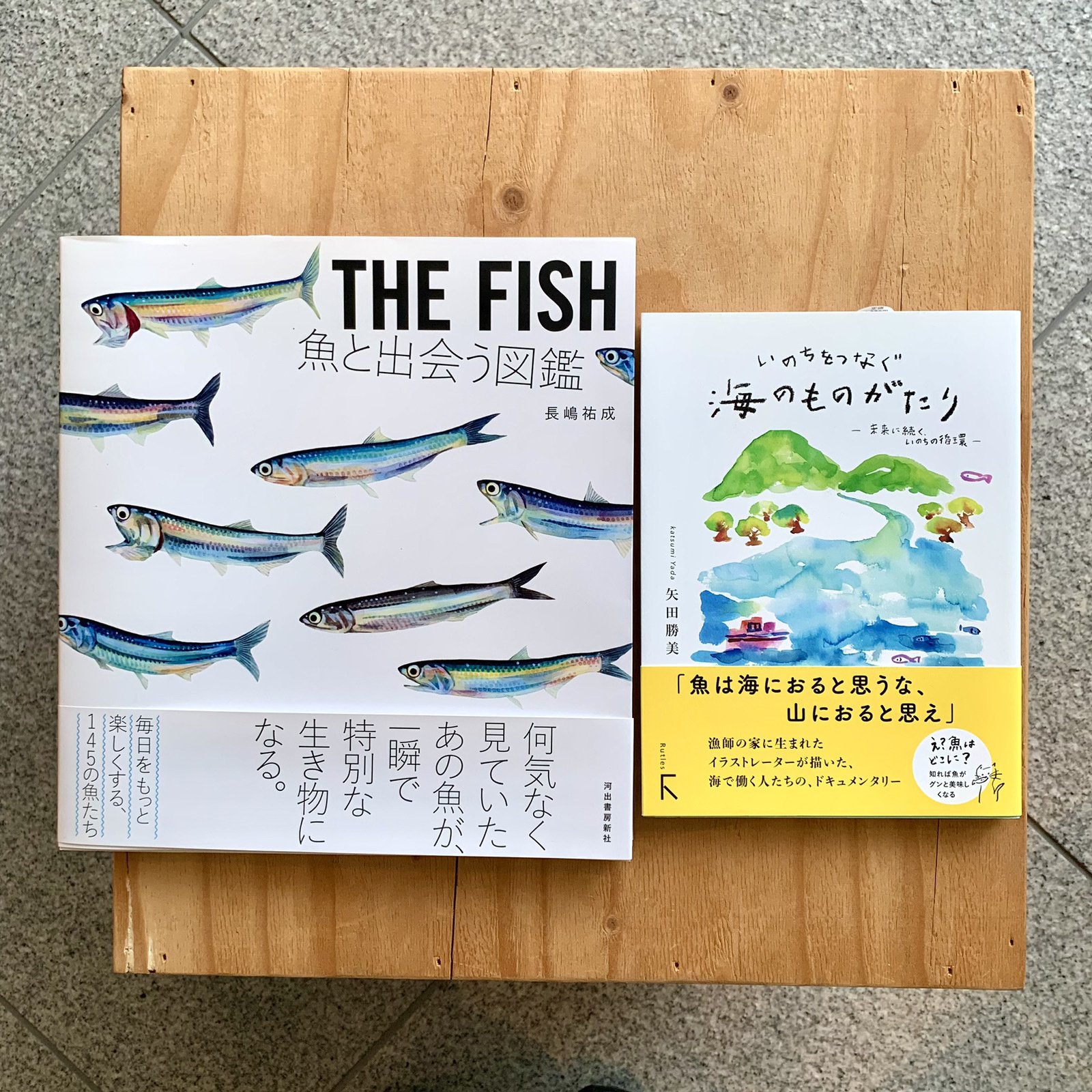 開催レポート】『チリメンモンスターをさがせ！』大人のサイエンス