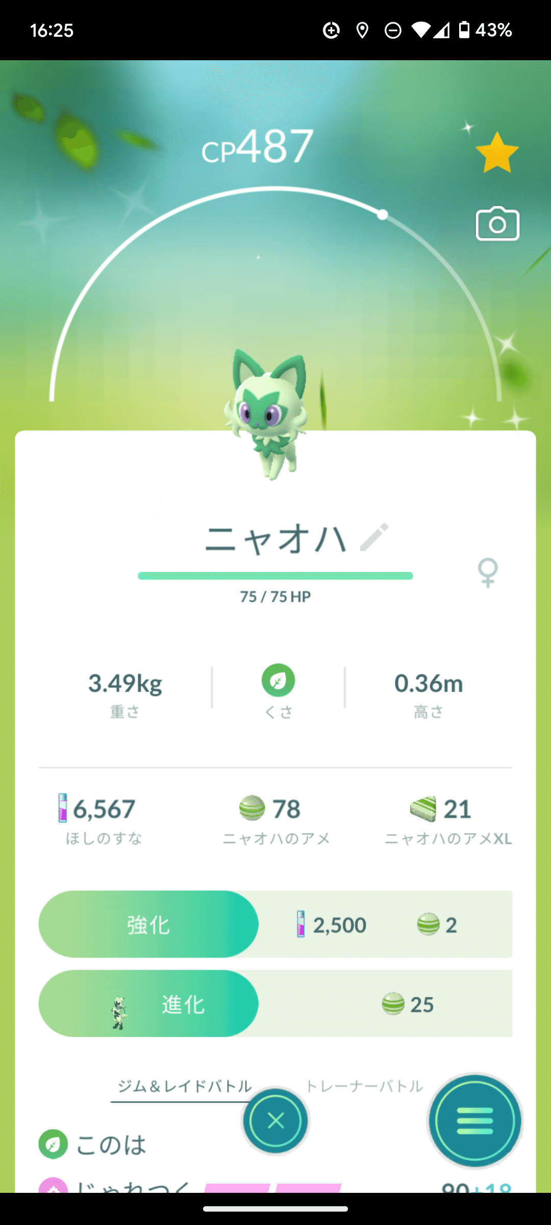 ニャオハ コミュニティデイ結果報告｜只今工事厨(ダメタマゴ)