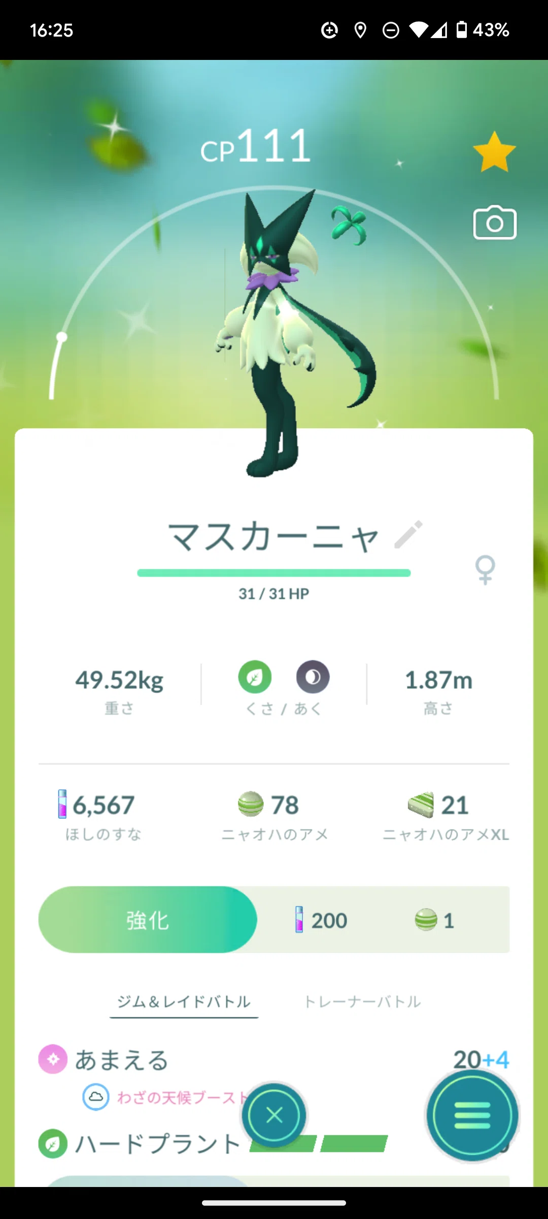 ニャオハ コミュニティデイ結果報告｜只今工事厨(ダメタマゴ)