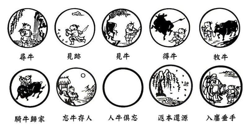 Amazon.com: 究極の旅: OSHO 禅の十牛図を語る: 9784309909998