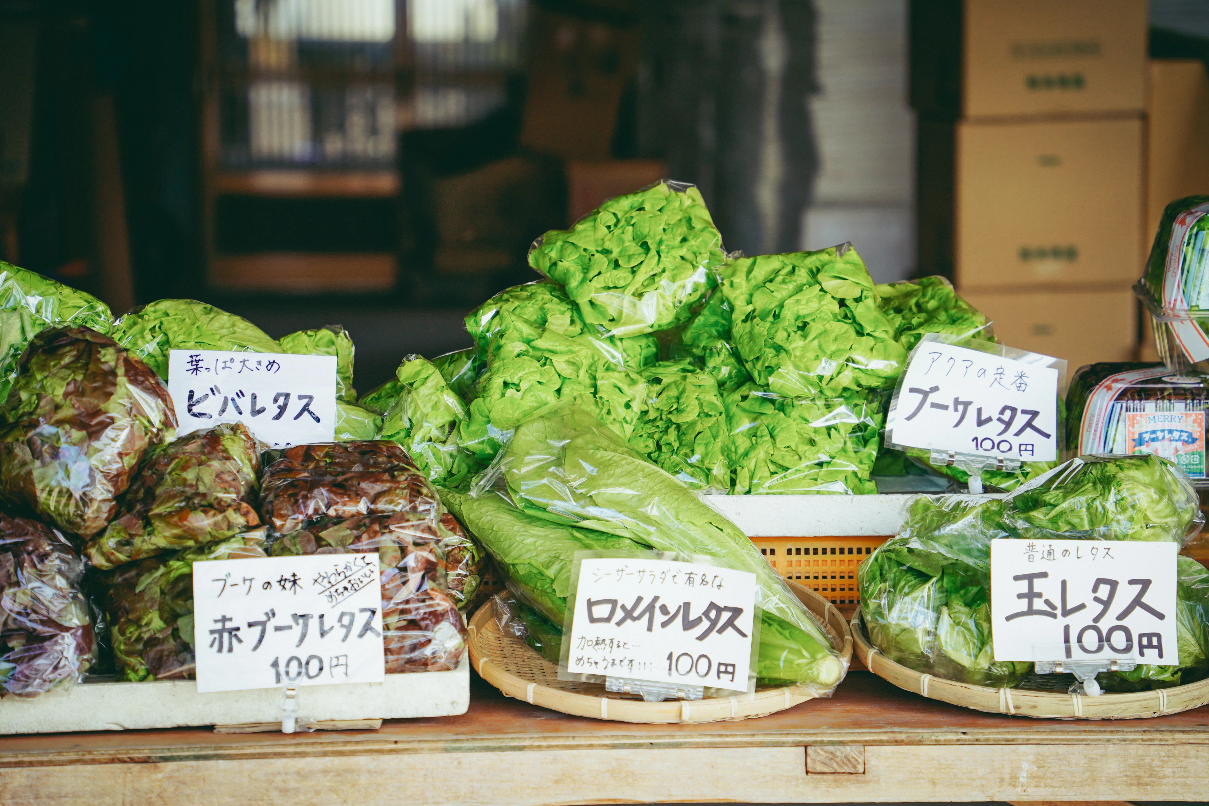 アクア農園】 あさぎり町の無人販売所でこだわり野菜を超お手軽に
