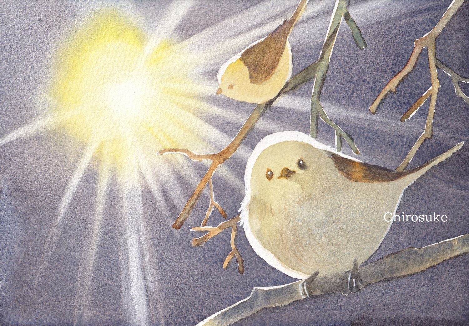 水彩画 シマエナガ｜ちろ