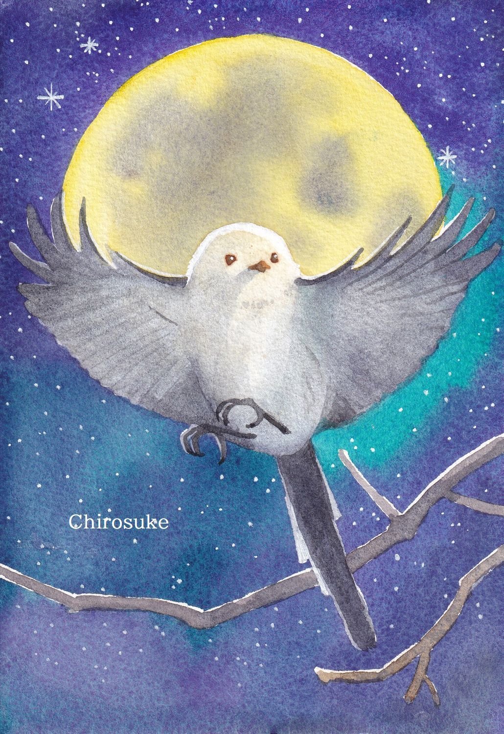 水彩画 シマエナガ｜ちろ