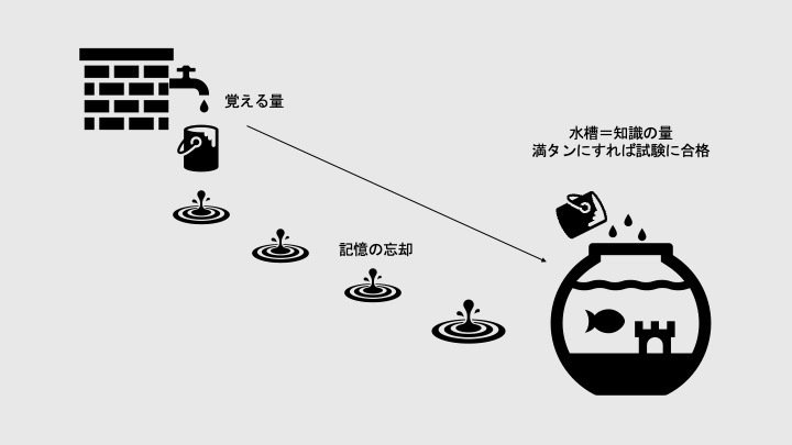 公認会計士 合格するには必須⭐ 一発合格】公認会計士試験合格者インタビュー 角田 優太さん