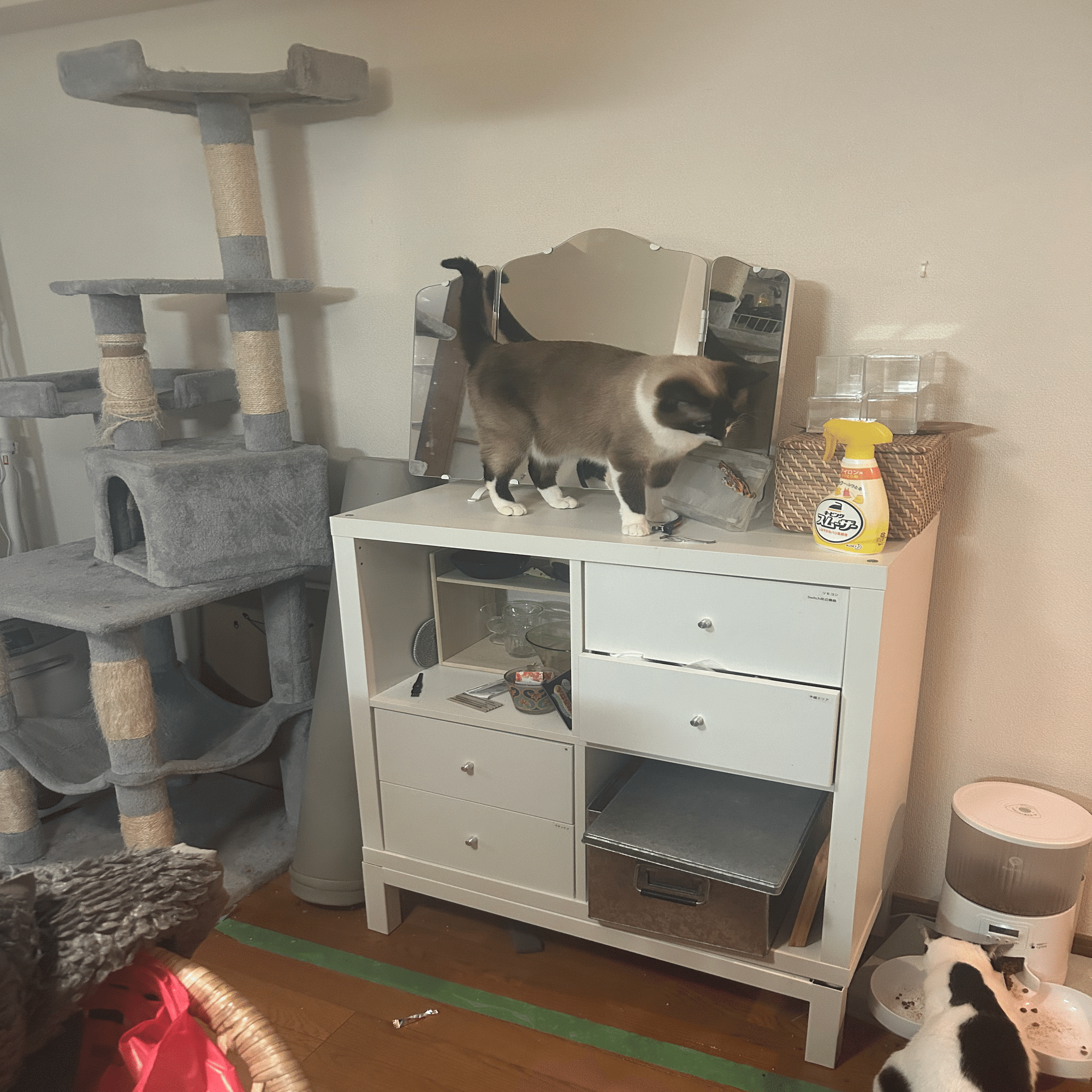 年末年始にでかい食器棚を据えつける｜枚子