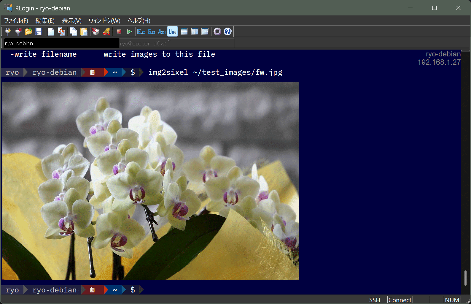 ターミナル上で画像を表示する｜R-Y-O