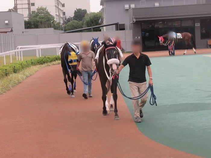 名古屋競馬場パドックの様子(正面)