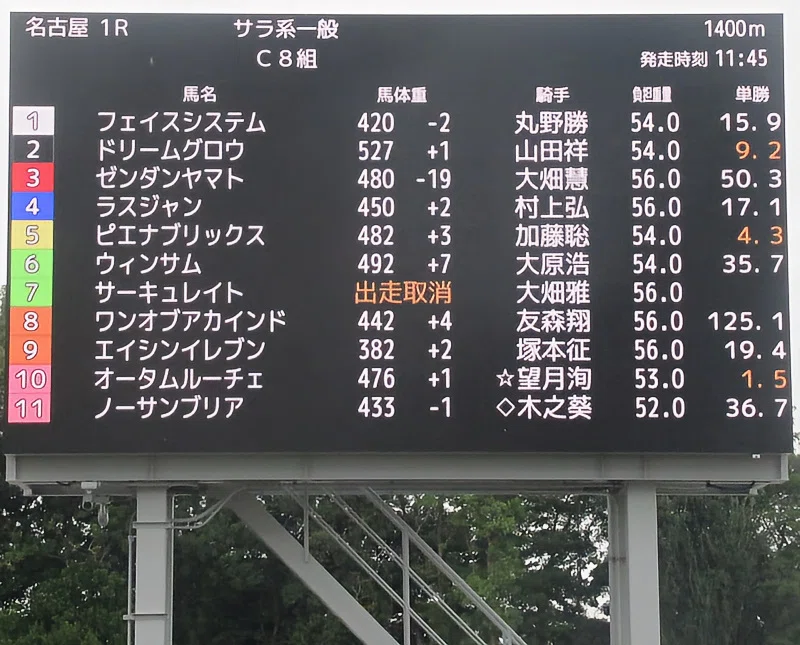 名古屋競馬場パドックビジョン