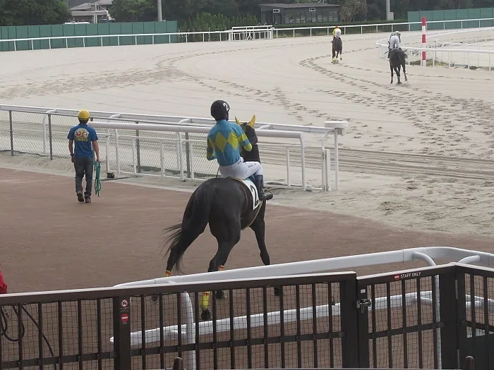名古屋競馬場本馬場入場１