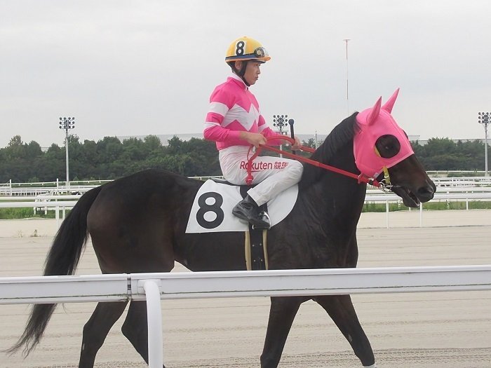 名古屋競馬場本馬場入場2(岡部誠)