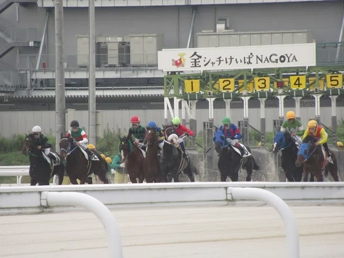 名古屋競馬場レース、スタート直後