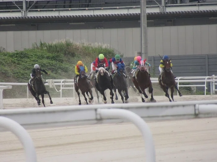 名古屋競馬場レース第4コーナー